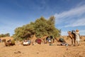Berbers prepare camels for travel.