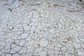 Berca Mud Volcanoes In Romania Royalty Free Stock Photo