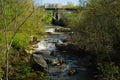 Berea Falls in early springtime