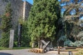 Historic cannons in pubblic park Rocca di Bergamo in Upper Town Citta Alta. Bergamo. Italy