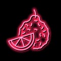 bergamot aromatherapy neon glow icon illustration Royalty Free Stock Photo