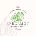 Bergamot Badge Logo Template. Hand Drawn Fruit Citrus Sketch with Retro Typography. Premium Plant Based Vegan Food