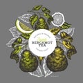 Bergamot branch design template. Kaffir lime logo. Hand drawn vector fruit illustration on dark background. Engraved style vintage