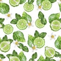 Bergamot fruit hand drawn watercolor illustration. Seamless pattern. Royalty Free Stock Photo