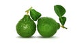 Bergamot fruit, Kaffir Lime isolated on white Royalty Free Stock Photo