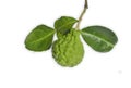 Bergamot fruit with  and leaf isolated on white background Royalty Free Stock Photo