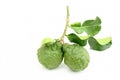 Bergamot fruit