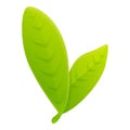 Bergamot green leafs icon, cartoon style Royalty Free Stock Photo