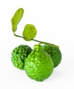 Bergamot herb Thailand Royalty Free Stock Photo
