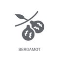 Bergamot icon. Trendy Bergamot logo concept on white background