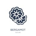 Bergamot icon. Trendy flat vector Bergamot icon on white background from nature collection