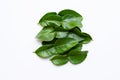 Bergamot kaffir lime leaves herb fresh ingredient isolated on white background
