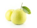 Bergamot oranges Royalty Free Stock Photo