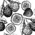 Citrus seamless pattern. Bergamot background. Vector fruit illustration. Summer drawing for logo, icon, label, packaging design.