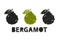 Bergamot, silhouette icons set with lettering. Imitation of stamp, print with scuffs. Simple black shape and color vector