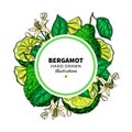 Bergamot vector drawing frame. Isolated template of citrus fruit