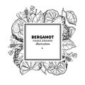 Bergamot vector drawing frame. Isolated vintage template of cit