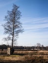 Bergen Belsen Royalty Free Stock Photo