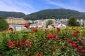 Bergen houses summer landscape with red roses, Norway