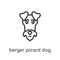 Berger Picard dog icon. Trendy modern flat linear vector Berger