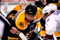 Bergeron -- Cammalleri faceoff Royalty Free Stock Photo