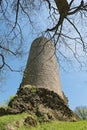 The Bergfried the castle ruin Reifenberg in the Taunus, Germany Royalty Free Stock Photo