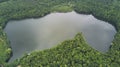 Berggeistsee mit Wald aus der Luft