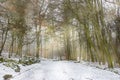 Bergpark Wilhelmshoehe in Kassel in Germany