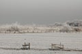 Winterslandschap, Winter landscape Royalty Free Stock Photo