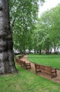 Berkeley Square, mayfair Royalty Free Stock Photo