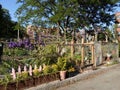 Berkeley Street Community Garden