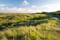 Berkheide dunes Royalty Free Stock Photo