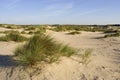 Berkheide, Wassenaar, Nederland / Netherlands