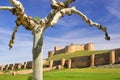 Berlanga de Duero Castillo Royalty Free Stock Photo