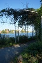 Metal pergola for climbing plants in Mentzelpark. A pergola is an outdoor garden feature forming a shaded walkway, passageway. Royalty Free Stock Photo