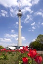 Berlin Fernsehturm