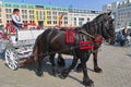 Beautiful black horses, mane braided, beautiful rider, tourists, near the Branderbug Gate in the center of Berlin