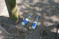 Close up top view of two empty vodka glass bottles Royalty Free Stock Photo