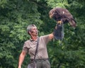Golden eagle with dark brown, with lighter golden-brown plumage on the napes on the falconer hand. Square photo
