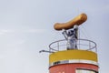 Bear as a symbol of the city Berlin holding big Curry Wurst sausage