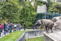 African elephant in Tierpark Berlin, Germany