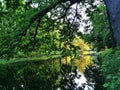 Berlin park view with reflection