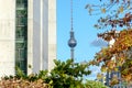 Berlin tower with autumn leafs