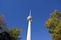 Berlin tv tower Royalty Free Stock Photo