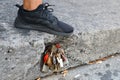 A foot on the padlocked Berlin Wall Berliner Mauer, Berlin, Germany Deutschland Royalty Free Stock Photo