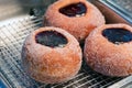 Berliners donuts powdered with sugar and filled with jam