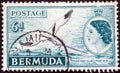BERMUDA - CIRCA 1953: A stamp printed in Bermuda shows White-tailed tropic bird and queen Elizabeth II, circa 1953.