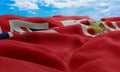 Bermuda flag in the wind. Realistic and wavy fabric flag. 3D rendering