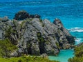 Bermuda Lava Rock Royalty Free Stock Photo
