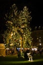 Tall christmas tree in traditional christmas market in Bern